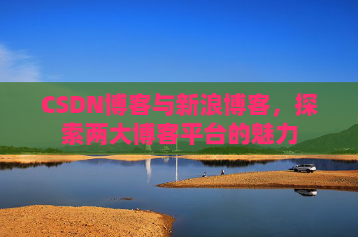 CSDN博客与新浪博客，探索两大博客平台的魅力